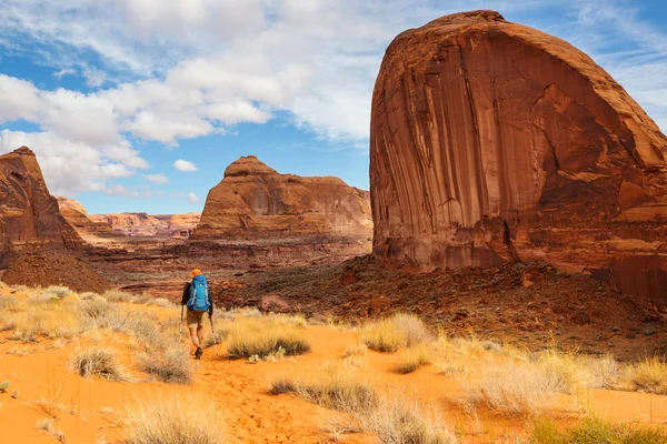 Escursione Nelle Montagne Dello Utah — Foto Stock