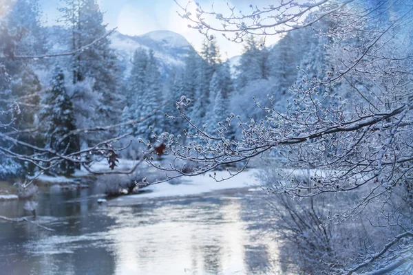 Zimní Sezóna Yosemitském Národním Parku Kalifornie Usa — Stock fotografie