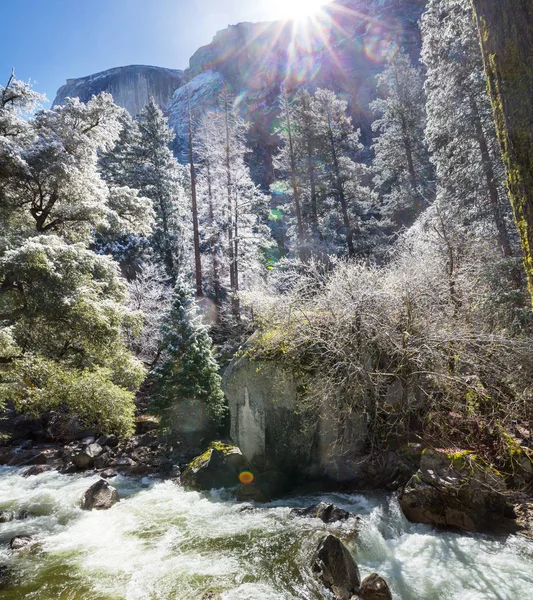 Winter Season Yosemite National Park California Usa — Stock Photo, Image