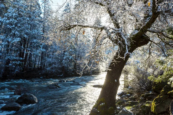 Lindas Paisagens Início Primavera Parque Nacional Yosemite Yosemite Eua — Fotografia de Stock