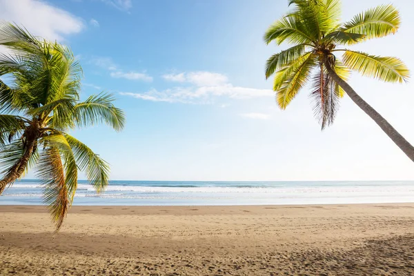 Lugn Den Tropiska Stranden — Stockfoto