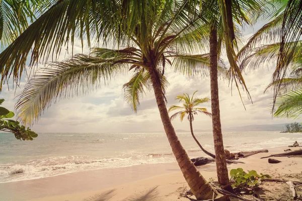 Lugn Den Tropiska Stranden — Stockfoto