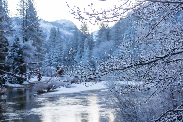 米国カリフォルニア州ヨセミテ国立公園の冬の季節 — ストック写真