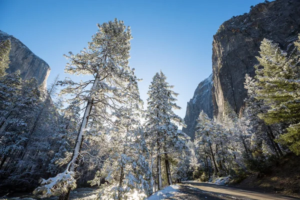 Temporada Invierno Parque Nacional Yosemite California — Foto de Stock