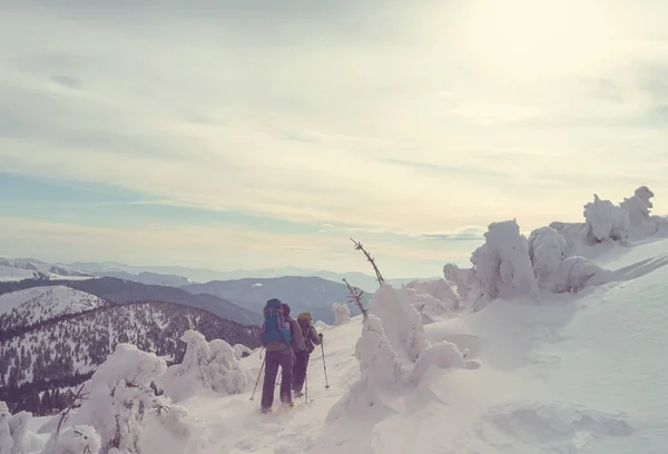 Туристи Зимових Горах — стокове фото
