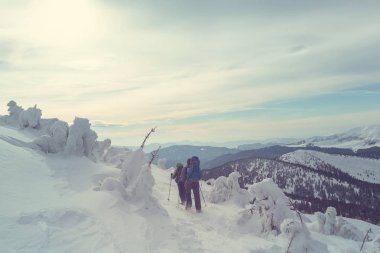 Kış dağlarında yürüyüşçüler