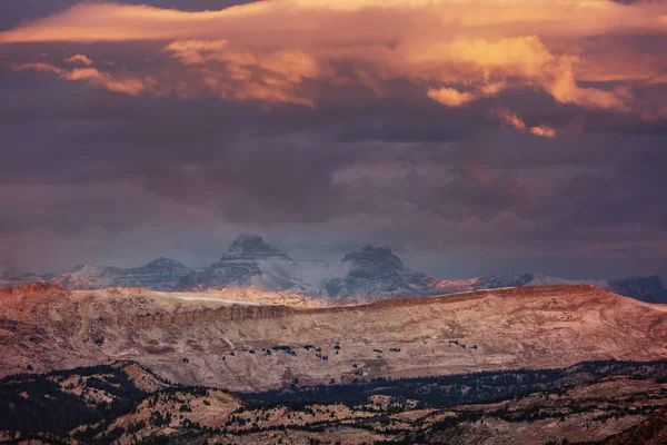 Prachtig Landschap Van Beartooth Pass Shoshone National Forest Wyoming Verenigde — Stockfoto