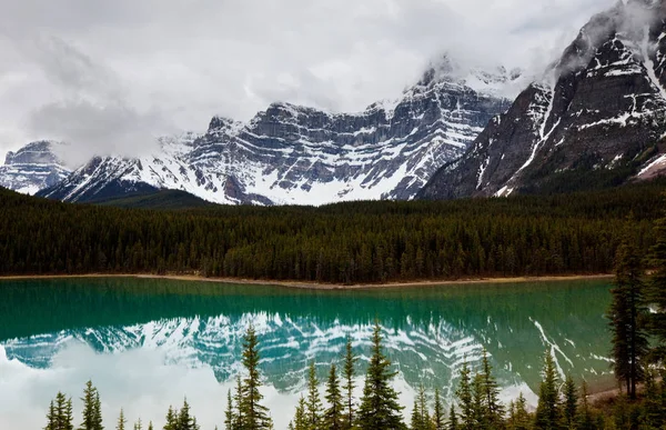 Спокійна Сцена Біля Гірського Озера Канаді Відзеркаленням Каменів Спокійній Воді — стокове фото
