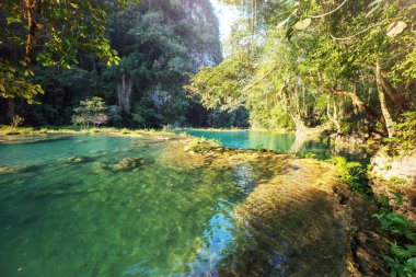 Semuc Champey, Lanquin, Guatemala, Orta Amerika 'daki güzel doğal havuzlar.