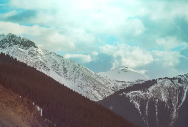 Berglandschap Colorado Rocky Mountains Colorado Verenigde Staten — Stockfoto