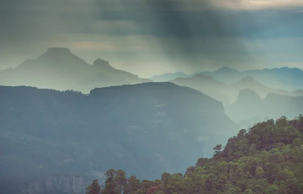 Dschungel Und Berge Der Regenzeit Mexiko — Stockfoto