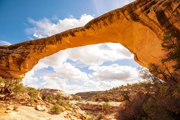 Owachomo Bridge Natural Bridges National Monument Utah Usa — Stockfoto