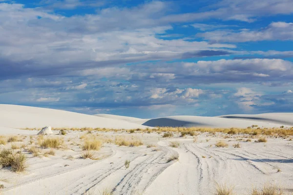 Unusual White Sand Dunes White Sands National Monument New Mexico — Stock Photo, Image