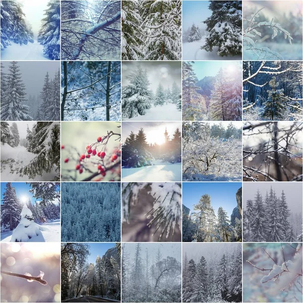 Inverno Natura Paesaggi Vacanza Collage — Foto Stock