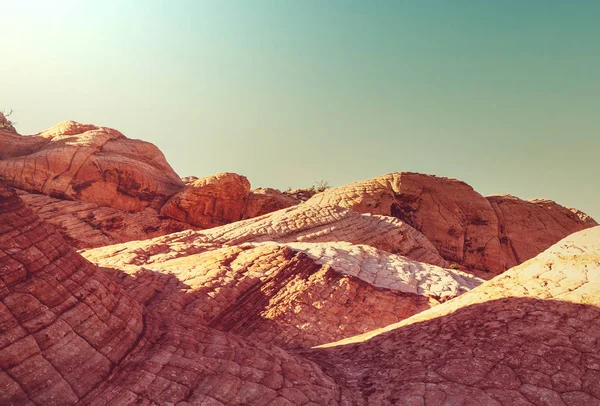 Sandstensformationer Utah Usa Fladdermöss — Stockfoto