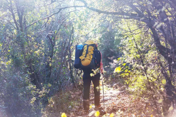 Gente Caminata Las Montañas — Foto de Stock