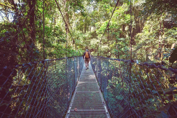 Passaggio Ponte Nella Giungla Verde Costa Rica America Centrale — Foto Stock