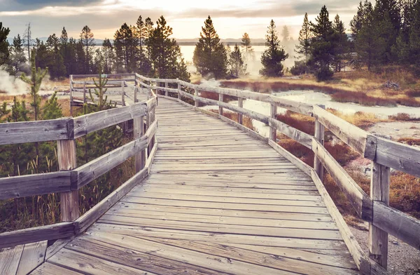 Деревянная Набережная Вдоль Гейзерных Полей Йеллоустонском Национальном Парке Сша — стоковое фото