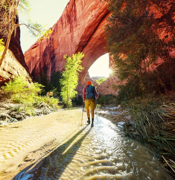 Vermillion Cliffs Vahşi Doğa Bölgesi Utah Arizona Dan Çakal Buttes — Stok fotoğraf