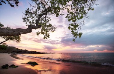 Hawaiian volcanic coast nature scenic view 