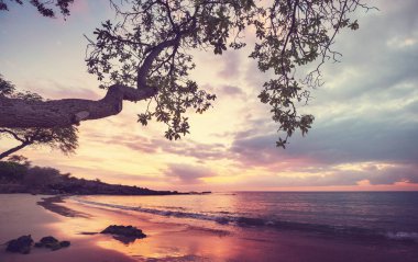 Hawaiian volcanic coast nature scenic view 