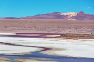 Bolivya'daki yüksek karlı dağlar