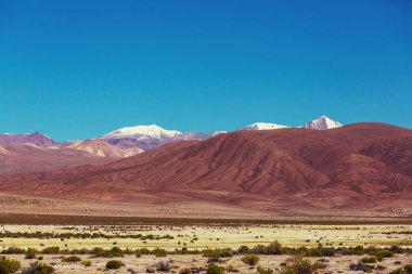 Bolivya'daki yüksek karlı dağlar