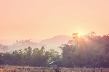 Kuzey Tayland 'da kırsal alanlar