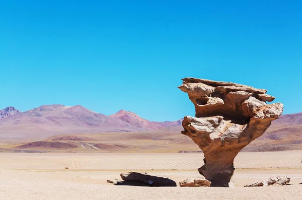 Famous Stone Tree Arbol Piedra Uyuni Salt Flat Bolivia — Stock Photo, Image