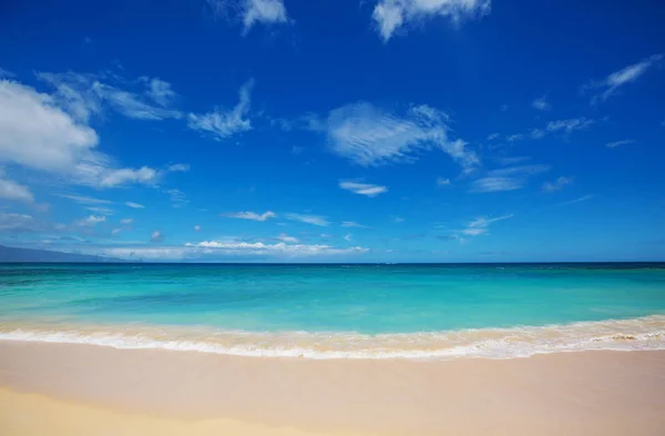 Erstaunliche Hawaiianische Strand Natur Malerische Aussicht — Stockfoto
