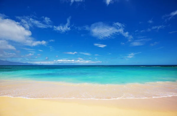 Amazing Hawaiian Beach Nature Scenic View — Stock Photo, Image