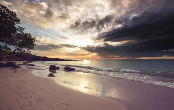 Hawaiian Volcanic Coast Nature Scenic View — Stok fotoğraf