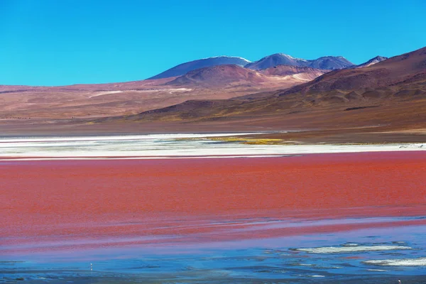 Die Surreale Landschaft Südamerikas Farbenfrohe Laguna Colorada Auf Dem Hochplateau — Stockfoto