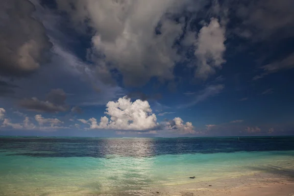 Мальдивский Пляж Видом Природу — стоковое фото