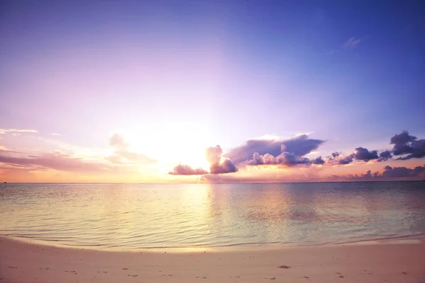 Maldive Spiaggia Natura Vista Panoramica — Foto Stock