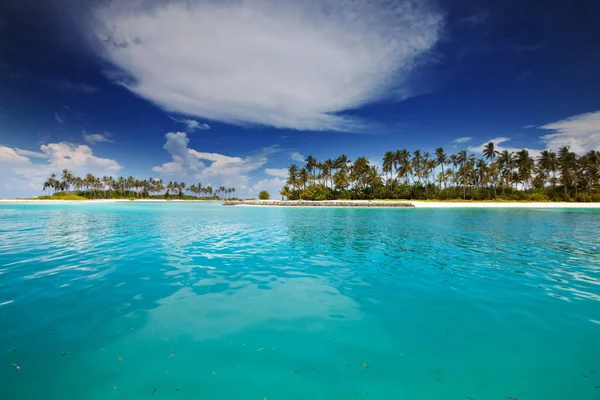 Мальдивский Пляж Видом Природу — стоковое фото