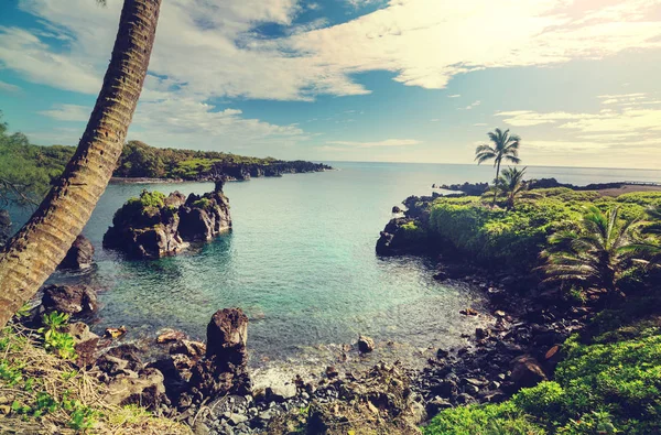 Bellissimi Paesaggi Tropicali Sull Isola Maui Hawaii — Foto Stock