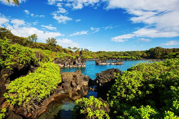 Чудові Тропічні Краєвиди Острова Мауї Гаваї — стокове фото