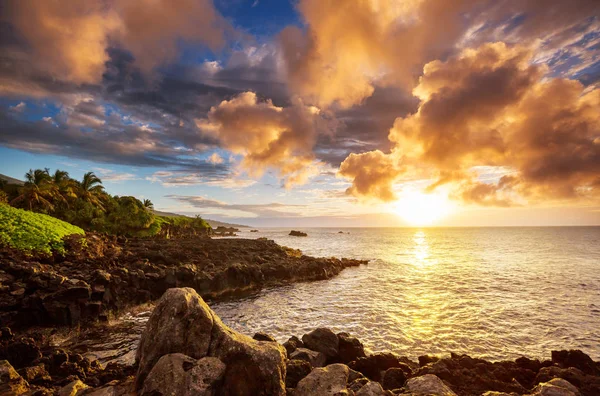 Όμορφα Τροπικά Τοπία Στο Νησί Μάουι Χαβάη — Φωτογραφία Αρχείου