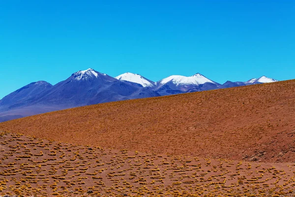 Hohe Schneebedeckte Berge Bolivien — Stockfoto