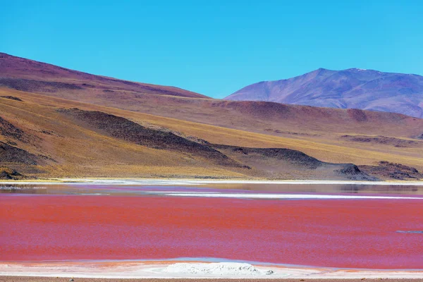 Hohe Schneebedeckte Berge Bolivien — Stockfoto