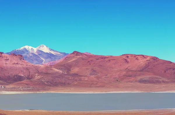 Hohe Schneebedeckte Berge Bolivien — Stockfoto