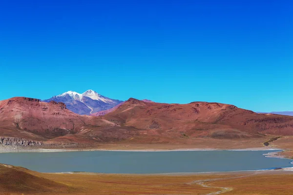 Alte Montagne Innevate Bolivia — Foto Stock