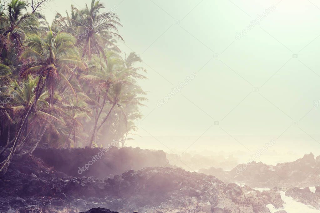 Hawaiian volcanic coast nature scenic view 