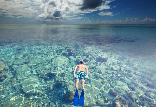 Maldiven Strand Natuur Schilderachtig Uitzicht — Stockfoto