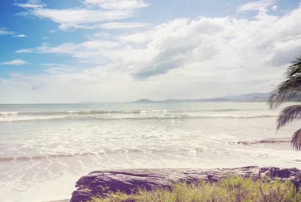 Prachtige Tropische Stille Oceaan Kust Costa Rica — Stockfoto