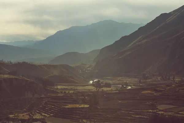 Zemědělská Pole Zelených Horách Peru Jižní Americe — Stock fotografie