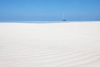 Maldivler plaj doğa doğal manzarası 