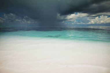 Maldivler plaj doğa doğal manzarası 