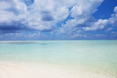 Maldivler plaj doğa doğal manzarası 